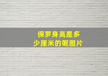 保罗身高是多少厘米的呢图片