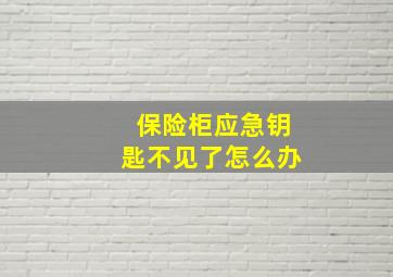 保险柜应急钥匙不见了怎么办