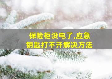 保险柜没电了,应急钥匙打不开解决方法