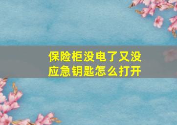 保险柜没电了又没应急钥匙怎么打开