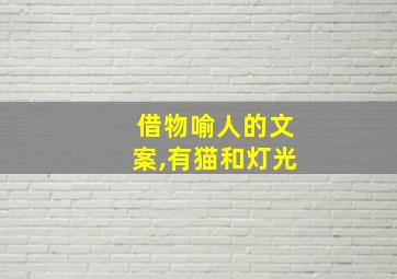 借物喻人的文案,有猫和灯光