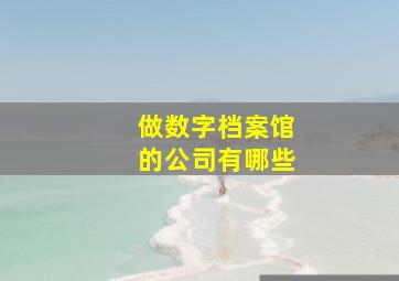 做数字档案馆的公司有哪些