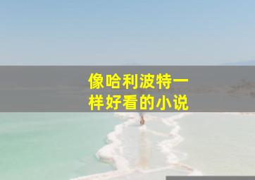 像哈利波特一样好看的小说