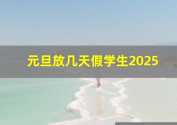 元旦放几天假学生2025