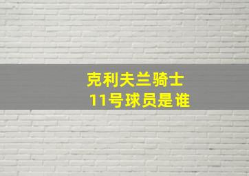 克利夫兰骑士11号球员是谁