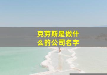 克劳斯是做什么的公司名字