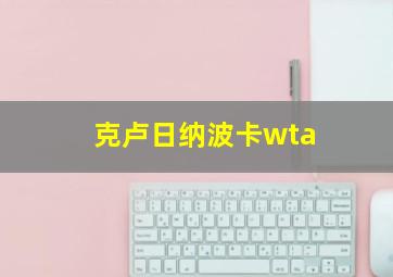 克卢日纳波卡wta