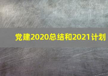 党建2020总结和2021计划