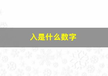 入是什么数字