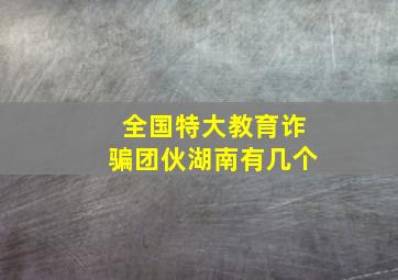 全国特大教育诈骗团伙湖南有几个