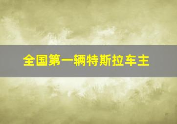 全国第一辆特斯拉车主