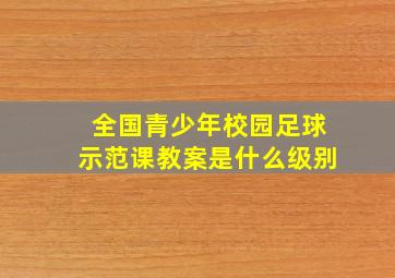 全国青少年校园足球示范课教案是什么级别