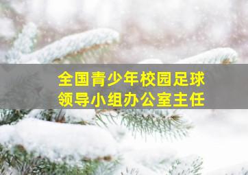 全国青少年校园足球领导小组办公室主任