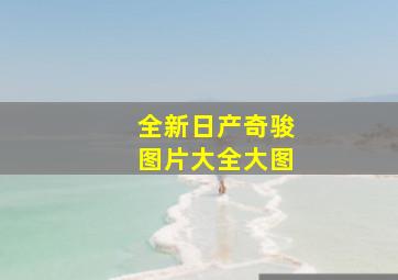 全新日产奇骏图片大全大图