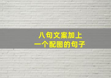 八句文案加上一个配图的句子