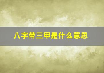 八字带三甲是什么意思