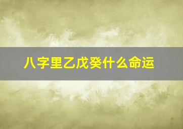 八字里乙戊癸什么命运