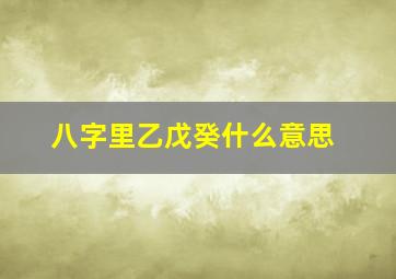 八字里乙戊癸什么意思