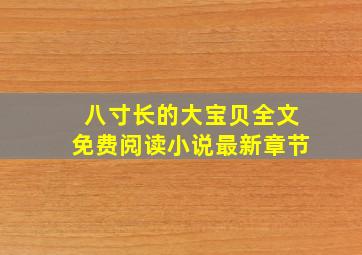 八寸长的大宝贝全文免费阅读小说最新章节