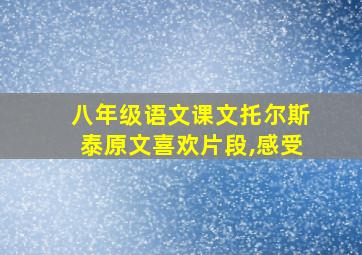 八年级语文课文托尔斯泰原文喜欢片段,感受