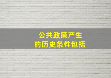 公共政策产生的历史条件包括