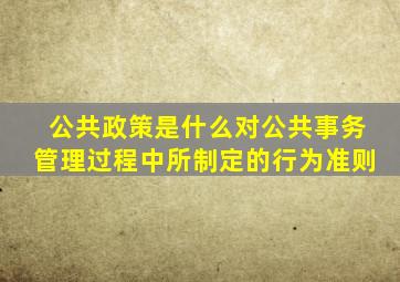 公共政策是什么对公共事务管理过程中所制定的行为准则