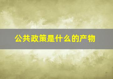 公共政策是什么的产物