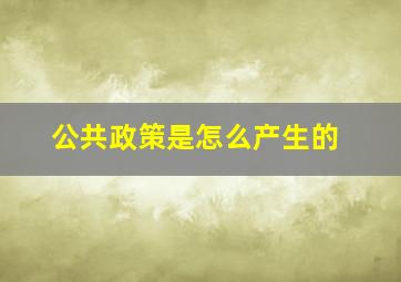 公共政策是怎么产生的