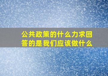 公共政策的什么力求回答的是我们应该做什么