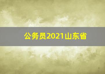 公务员2021山东省