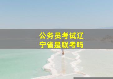 公务员考试辽宁省是联考吗