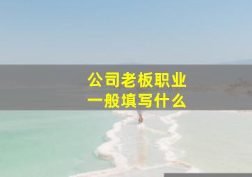 公司老板职业一般填写什么