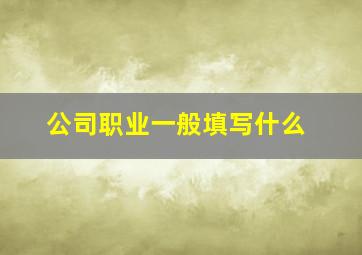 公司职业一般填写什么