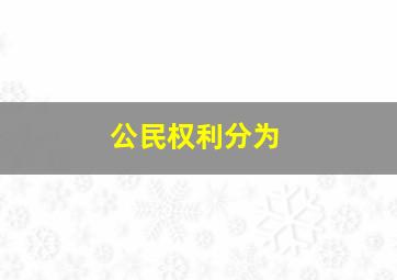 公民权利分为