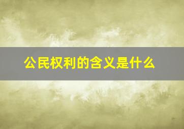 公民权利的含义是什么