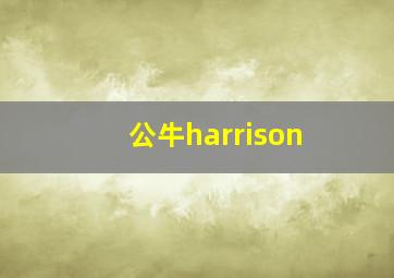 公牛harrison