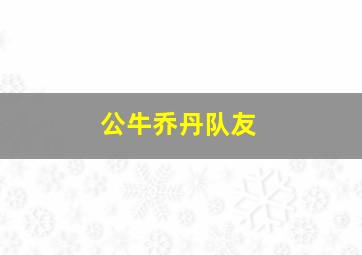 公牛乔丹队友