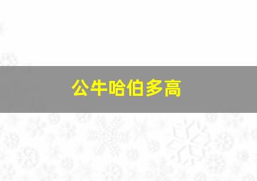 公牛哈伯多高