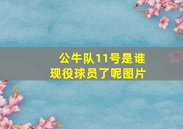 公牛队11号是谁现役球员了呢图片