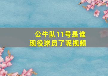 公牛队11号是谁现役球员了呢视频