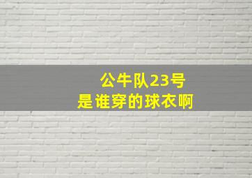 公牛队23号是谁穿的球衣啊