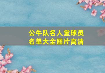 公牛队名人堂球员名单大全图片高清