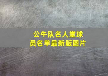 公牛队名人堂球员名单最新版图片