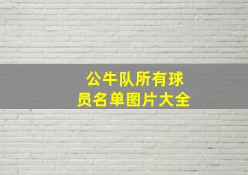 公牛队所有球员名单图片大全