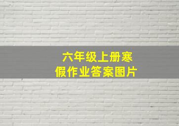 六年级上册寒假作业答案图片