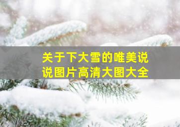 关于下大雪的唯美说说图片高清大图大全