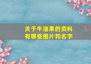 关于牛油果的资料有哪些图片和名字