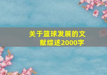 关于篮球发展的文献综述2000字