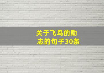 关于飞鸟的励志的句子30条