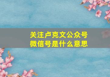 关注卢克文公众号微信号是什么意思